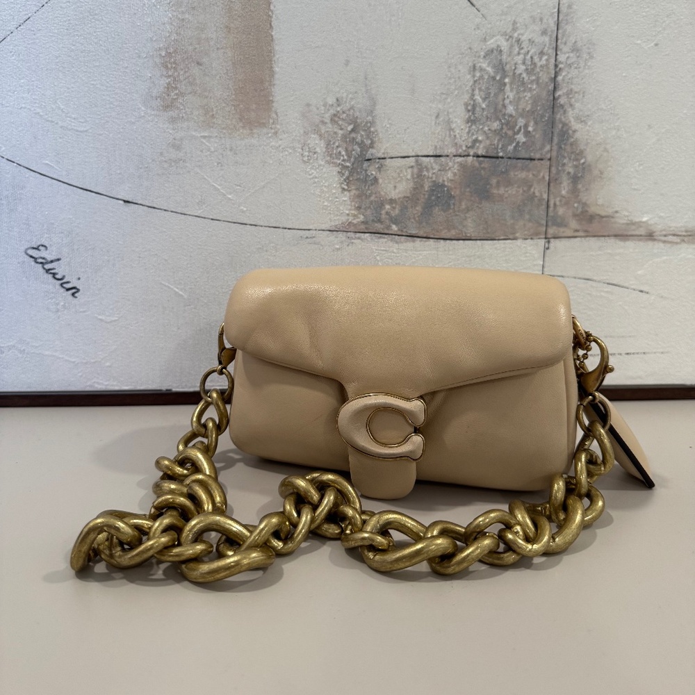 Coach Pillow Tabby 16